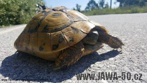 s Jawou na cestách Expedice Balkán